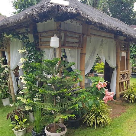Hidden Haven Coron Apartment Bagian luar foto